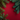 A top-down view of vibrant green evergreen branches creating a natural frame around a textured, deep crimson red background. The branches are visible in the top-left, top-right, and bottom-left corners, with some showing subtle blue-green hues, while the expansive center remains clear, offering space for text or design elements. The overall mood is festive and serene.