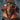 A close-up, head-on portrait of a brown and black dachshund dog wearing a Halloween costume. The dog has on bright orange novelty glasses, a black cape with an orange collar, and a black headband that spells 'BOO' in glittery orange letters. The background is a softly blurred, dark blue-grey textured wall.