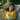 An overhead view shows a young woman with light brown hair lying peacefully in a white woven hammock. She is wearing a bright yellow t-shirt and blue jeans, with her eyes closed and hands clasped behind her head. Dappled sunlight filters through green and yellow leaves above, casting gentle shadows and creating a serene outdoor scene.