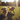 Two fluffy, light-colored dogs, likely Goldendoodles or Labradoodles, are captured in motion, running directly towards the viewer on a vibrant green grassy field. The dog in the foreground has its tongue slightly out and ears flopping, while both are illuminated by warm, golden hour sunlight with a noticeable lens flare in the upper right. Tall green trees form the backdrop of the sunny park, conveying a sense of joyful outdoor activity.