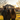 A back view of three people – a man and two women – standing on a lush green lawn, gazing towards a large, elegant two-story house under the warm glow of a golden hour sunset. Their silhouettes are outlined by the bright sunlight, which also illuminates the house's windows and creates a serene, hopeful atmosphere, with bare trees visible in the background.