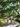 A cheerful Asian family of four, consisting of a mother, father, and two young sons, rides bicycles side-by-side along a paved park path. The path is bordered by vibrant yellow flowers and tall, leafy green trees that form a natural archway overhead, creating a bright, sun-dappled scene. Everyone in the family is smiling, radiating joy and promoting a sense of active outdoor togetherness.