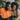 A happy Black man in an orange t-shirt and a Black woman in a beige knit sweater are sitting closely together, both smiling genuinely as they look at a dark gray digital tablet held by the man. They appear to be sharing a moment of engagement, possibly viewing content or browsing online, in a comfortable home environment with green houseplants and a blurred bookshelf in the background.