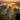 An aerial photograph captures a stunning rural landscape at sunrise. Golden light pierces through morning mist, illuminating fields and rolling hills while casting long, dramatic shadows from trees and scattered houses. A complex intersection of asphalt roads with faded yellow lines dominates the foreground, winding through the vibrant green and golden terrain.