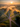 An aerial photograph captures a stunning rural landscape at sunrise. Golden light pierces through morning mist, illuminating fields and rolling hills while casting long, dramatic shadows from trees and scattered houses. A complex intersection of asphalt roads with faded yellow lines dominates the foreground, winding through the vibrant green and golden terrain.