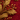 A visually rich, full-frame image featuring shimmering gold foliage and red berries against a deep crimson background. Intricate, textured golden leaves and branches are adorned with glossy red berries and smaller golden baubles, some with dimpled textures. The background is a detailed, embossed pattern of swirling red lines and dots, creating a sense of depth and luxury.