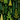 A vibrant, seamless digital illustration depicting a dense forest of various stylized trees and foliage. The trees are rendered in multiple shades of green and chartreuse with distinct hand-drawn textures, set against a dark green to black background. Small, light-colored specks are scattered throughout, suggesting a gentle snowfall or magical element, creating an all-over pattern.