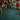 A top-down view of a Christmas border arrangement, featuring lush green evergreen branches, clusters of bright red berries, dark green holly leaves, natural brown pinecones, and small gold glittery baubles. These festive elements are artfully placed along the top and upper sides of the image, providing a decorative frame. The background is a dark teal, textured fabric, offering ample blank space in the lower section suitable for text overlays.