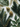 A top-down view of festive Christmas decorations arranged on a clean white background. The composition features dark green evergreen branches, several artificial green leaves coated in glitter (some with white polka dots), intricate golden spiky ornaments, and two prominent, sparkling gold pinecones. This elegant arrangement evokes a luxurious holiday atmosphere.