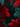 A digital illustration featuring a dense, full-frame pattern of overlapping pine branches. Some branches are rendered in a vibrant, bright red, while others appear in a dark teal-green, creating a high-contrast and rich texture. The composition evokes a modern and festive holiday aesthetic, with shadows suggesting depth among the dense foliage.
