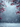 A serene vertical winter scene features snow-covered pine branches bearing clusters of bright red berries, framing the top and sides of the image. Softly falling snowflakes create a magical bokeh effect against a blurred blue-grey background, while a sparkling layer of fresh snow covers the foreground. The image conveys a peaceful and festive atmosphere, with the vibrant red berries providing a striking contrast to the cool winter palette.