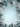A vertical image featuring a frosted winter holiday frame surrounding a light blue background with falling snowflakes. The dense frame is composed of snow-dusted evergreen branches, several brown pine cones, and icy white leaves resembling holly and poinsettias, creating a intricate border around a clear central space. Delicate snowflakes of various sizes are scattered across the light blue gradient background, enhancing the serene and festive winter atmosphere.