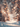 A vertical image depicting a magical winter forest scene. Two snow-covered evergreen trees frame a glistening path of sparkling snow, under a shower of delicate snowflakes. The background is a soft blur of warm golden and amber bokeh lights, creating a dreamy and enchanting atmosphere.