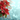 A festive image featuring vibrant red poinsettia plants with green leaves and small yellow centers, accompanied by sprigs of bright red berries. These elements are positioned on the left side of the frame, set against a blurred background of shimmering blue and teal bokeh lights with subtle golden dust at the bottom. The overall scene evokes a magical and elegant winter holiday atmosphere.