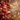 A close-up shot of multiple poinsettia plants with vibrant red, pink, and muted green bracts, featuring small yellow flower clusters. The left side is filled with the poinsettias, while the right side displays a blurred background with numerous golden bokeh lights. A layer of shimmering golden glitter dusts the bottom edge of the image, creating a festive scene.