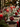 A warmly lit, elegantly set Christmas dining table fills the frame. A rustic wooden table is adorned with a green pine garland, bright red pillar candles in glass holders, and various red and silver Christmas ornaments, including a large patterned red bauble resting on a stack of grey-rimmed plates with polished silverware. In the softly blurred background, the twinkling lights of a Christmas tree add to the festive ambiance.