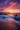A vertical shot of a sunset scene with an ocean and rocky shore. The sky is filled with vibrant orange and purple clouds as the sun sets on the horizon. Waves are gently crashing against dark gray rocks, creating white foam, and the wet sand reflects the colors of the sky.