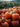 Close-up shot of a large group of bright orange pumpkins with green stems, piled on top of each other in a field. In the background, a blurred expanse of green foliage creates a natural backdrop. The overall scene suggests a pumpkin patch during the fall harvest season.