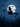 A digital illustration shows a black silhouette of a witch riding a broomstick across the night sky. A black cat sits on the broomstick behind the witch, and several black bats fly around them. A large, pale moon illuminates the scene, and a dark field of corn stalks stretches across the lower part of the image.