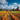 A vibrant pumpkin field stretches towards two red barns under a bright blue sky with scattered white clouds. Rows of orange pumpkins line the foreground, leading the eye to the barns and surrounding trees. The scene depicts a classic autumn landscape, evoking feelings of harvest and abundance.