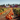 A long shot of a pumpkin patch featuring rows of bright orange pumpkins planted along dirt paths. In the distance, several red barns with gray roofs are visible, backed by a line of green trees and a clear blue sky. The image evokes a sense of autumn harvest and rural charm.