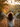 A person with long, curly brown hair, wearing a chunky white knit sweater, stands on an autumn path with their arms outstretched. They are seen from behind, facing a warm, golden sunset as numerous brown and orange leaves fall around them, with the surrounding trees bathed in golden light. This image captures a moment of joy and freedom in a beautiful natural fall setting.