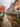 A vibrant street scene depicting a long row of modern townhouses on an overcast autumn day. The wet concrete sidewalk is covered with countless fallen red, orange, and yellow leaves, mirroring the bright foliage of a large tree in the foreground. The houses themselves are painted in various striking colors, including red, orange, grey, and yellow, each with front steps and black railings, adding a lively contrast to the muted sky and wet ground.