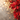 A close-up image showcasing vibrant red poinsettia flowers, featuring intricate dark veins on their leaves and delicate golden decorative sprigs. The background is softly blurred with warm, shimmering golden lights, creating a magical and festive atmosphere ideal for holiday themes.