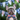 Patriotic Dog Stock Photo for Real Estate Agents