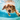 Dog Swimming Underwater Stock Photo