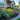 Professional vibrant residential flower garden with lush green lawn - high-quality image for marketing and content creation