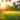 Professional golden sunset on vibrant green lawn with suburban home - high-quality image for marketing and content creation