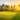 Professional golden hour home: modern house, lush lawn, radiant sunset - high-quality image for marketing and content creation