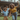 A young family, a mother, father, and their son, joyfully dance and play in a green garden. The son, with curly brown hair, is in the foreground, arms raised and smiling widely, while his mother, wearing a mustard yellow shirt and blue jeans, laughs with him. The father stands smiling softly in the soft-focused background, against a backdrop of a house with a tiled roof and lush greenery.