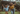 A young family, a mother, father, and their son, joyfully dance and play in a green garden. The son, with curly brown hair, is in the foreground, arms raised and smiling widely, while his mother, wearing a mustard yellow shirt and blue jeans, laughs with him. The father stands smiling softly in the soft-focused background, against a backdrop of a house with a tiled roof and lush greenery.