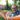A smiling man with a beard and glasses lies in a vibrant orange patterned hammock, looking directly at the camera. Nestled comfortably against his chest is a young child with blonde hair, fast asleep in a light blue shirt. The background shows a soft-focused green backyard with a wooden fence and lush trees under natural daylight.