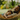 A warm, intimate photo of a diverse father and his young child resting together in a yellow and orange woven hammock. The child, with curly brown hair, is snuggled against the father's chest, eyes closed, and smiling gently. The father, with a dark beard, also smiles broadly with closed eyes, radiating joy and contentment against a softly blurred green natural background.