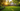 Professional idyllic suburban home with golden hour sunlight - high-quality image for marketing and content creation