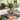 Professional modern luxury living room with lush indoor plants - high-quality image for marketing and content creation