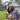 A happy Black man and woman are standing in a close embrace, smiling warmly at the camera, in front of their newly built suburban house. The woman has long braided hair and is wearing a white dress with a subtle floral pattern, while the man wears a blue and white plaid shirt. The modern two-story house features dark gray brick, light-colored siding, and a dark shingle roof, set against a freshly manicured green lawn with sparse landscaping.