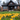 Spring Home Listing Photo | Charming House & Crocuses