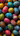A vertical, overhead photograph showcasing dozens of vibrantly colored Easter eggs, densely packed to completely fill the frame. Each egg is uniquely hand-decorated with intricate patterns like dots, swirls, stripes, and floral motifs in bright hues of red, blue, yellow, pink, green, and white, set against a dark background, highlighting their artistic detail and festive appeal.