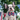 Patriotic Dog Stock Photo for Real Estate