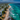 Premium Aerial Beachfront Stock Image for Real Estate Agents