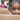 New Home Moving Day: Child in Box | Real Estate Image