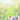 A vibrant vertical image featuring seven decorated Easter eggs in a natural bird's nest, positioned on light wooden planks. The eggs are pastel shades of green, purple, blue, and orange, each with white patterns. Lush green grass and delicate bluebell flowers surround the nest, with a soft, dreamlike bokeh background of greens and whites that creates a bright, cheerful spring scene.
