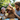 A heartwarming outdoor scene featuring a light brown, fluffy Goldendoodle dog wearing a pink polka-dot party hat, its tongue slightly out. A smiling man with curly hair and a beard gently pets the dog, while two young girls, also smiling, are partially visible on either side, one wearing a similar pink party hat. The background is a blurred green garden with subtle party banners, indicating a joyful family celebration around a table with a blue tablecloth.