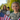 Patriotic Family Stock Photo | Real Estate Marketing