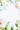 A top-down shot showing six smooth, pastel-colored Easter eggs arranged with small white spring flowers and green leaves on a pure white background. The eggs, in shades of pale yellow, light blue, light pink, and light green, form a gentle border around a significant central white space. The composition is clean and bright, conveying a fresh spring and Easter aesthetic.