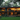 A two-story modern house, brightly illuminated from within with warm golden lights, is nestled centrally within a dense, dark green forest at dusk. The home showcases extensive glass windows, sleek dark structural elements, and warm wooden paneling on its exterior. A manicured green lawn extends from the front of the house, which features a wide wooden deck and steps, all surrounded by tall, dark tree trunks and lush undergrowth.